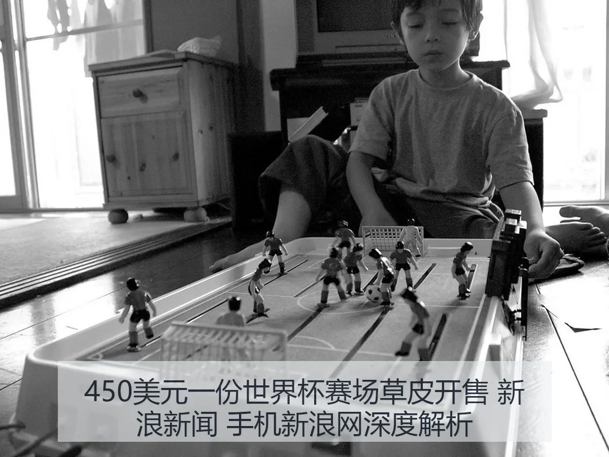 450美元一份世界杯赛场草皮开售 新浪新闻 手机新浪网深度解析